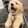 Johnny Barney - @johnny.barney - TikTok