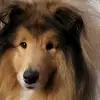 Johnny Batt - @johnny.batt31 - TikTok