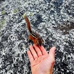 Johnny baumhartner - @johnnybaumhartner - Instagram