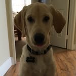 John Baynes - @johnbaynes - Instagram