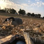 John Milton Baynes - @johnmiltonbaynes - Instagram