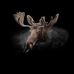 Johnny Berg - Facebook
