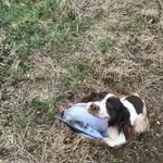 John Biddle - @johnnybiddle43 - Instagram
