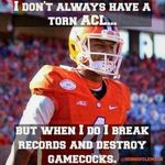 Johnny Bourque - @johnnybourque - Instagram