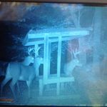 Johnny Bourque - @john.bourque.7 - Instagram