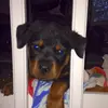 Johnny Bowen - @johnny.bowen95 - TikTok