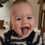 Bowie - @bowie_o_johnny - Instagram