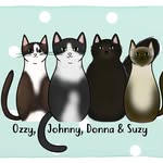 Donna☆, Suzy☆, Johnny, Ozzy, Estrela☆& Bowie - @therockercats - Instagram