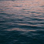 John Bowie - @john.bowie - Instagram