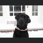 Johnny Boyle - @john.boyle.jr - Instagram
