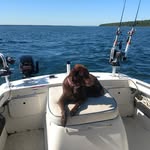 John Brackett - @john.brackett.351 - Instagram