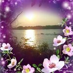 John Brasher - @john.brasher.125 - Instagram