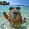 John brewer32175 - @john.brewer13422 - TikTok