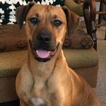Johnny W. Brewer - @johnnyw.brewer - Instagram