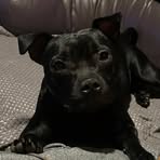 Johnny Buckley - Facebook