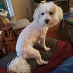 Johnny Burnett - @johnnyburnett57 - Instagram
