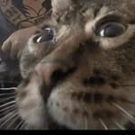 Johnny Burris - @johnny__burris - Instagram