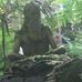 Johnny Bushnell - Facebook