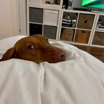 Johnny Cabrera - @kika_dus - Instagram