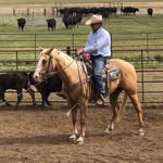 Johnny Callahan - @johnny.callahan.58 - Instagram