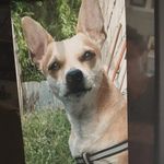 Johnny Candelaria - @waldemar.candelaria.7 - Instagram