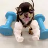 johnnycandelariaa - @johnnycandelariaa - TikTok