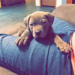 Johnny Caudill - @johnny131995 - Instagram
