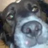 Johnny walker - @johnny.chalker - TikTok
