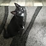 Johnny Chiko - @johnny_chiko - Instagram