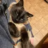 Johnny - @johnnycatclevenger - TikTok