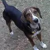 Johnny Craven - @johnny.craven3 - TikTok