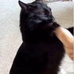 John Creech - @john_creech_ - Instagram