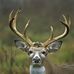Johnny Creech - Facebook