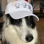 JOHNNY CREEK - @johnnycreek - Instagram