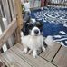 John Criswell Sr. - Facebook