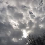 Johnny Criswell - @johnny.criswell.75 - Instagram