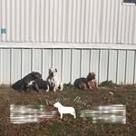 Johnny Criswell - @johnny.criswell.77 - Instagram