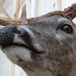 John Crouse - @crousestaxideremy - Instagram