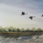 John Crouse - @john_crouse - Instagram