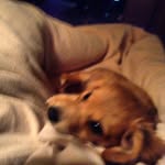 John Crouse - @johnlee9393 - Instagram