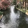 Cuevas Johnny - @cuevas.johnny - TikTok