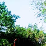 Johnny Cuevas - @johnny.cuevas.5220 - Instagram