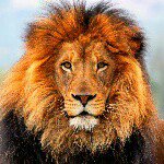 Johnny Currie - @johnnycurrie16 - Instagram