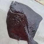 Johnny Dale - @johnny.dale.35728 - Instagram