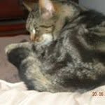 John Darby - @johndarby1951 - Instagram