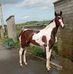 Johnny Delaney - Facebook