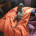 john denton - @john_denton_ - Instagram