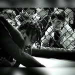 Johnny S - @johnnydoesjiujitsu - Instagram