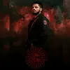 JOHNNY.S - @johnnydoesjiujitsu - TikTok