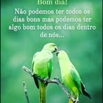 Johnny Dowel Dowel - @johnnydoweldowel - Instagram